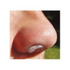 Single clear Max-Air Noze Cone in nose